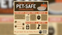 Yavapai Humane Society and Thanksgiving Pet Safety