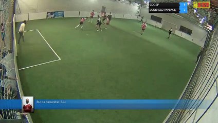 But de Alexandre (6-3) - COGEP Vs LOOSFELD PAYSAGE - 26/11/19 19:00 - LIGUE 4 - Poitiers Game Parc