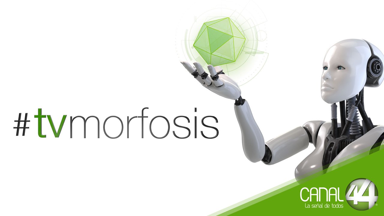 TVMORFOSIS 29 | México 2019