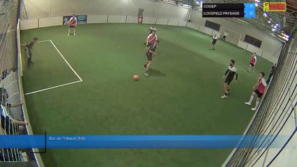 But de Thibault (9-6) - COGEP Vs LOOSFELD PAYSAGE - 26/11/19 19:00 - LIGUE 4 - Poitiers Game Parc