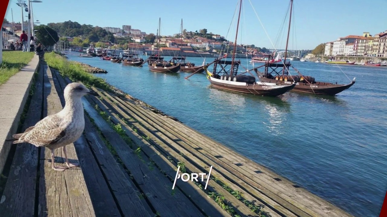 "PORTO" Top 50 Tourist Places | Porto Tourism | PORTUGAL