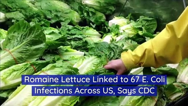 Romaine Lettuce Linked to 67 E. Coli Infections Across US, Says CDC