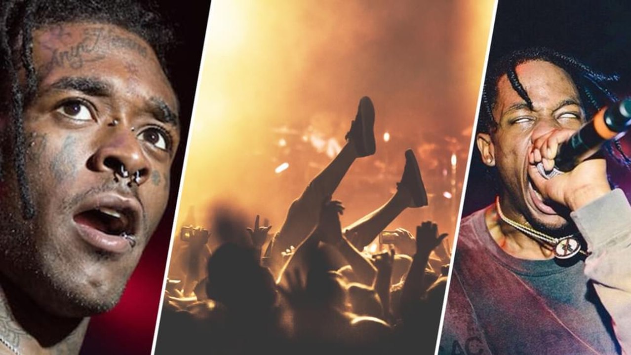 An Expert Explains Why People Mosh