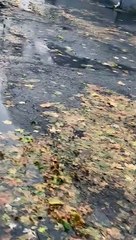 Newburgh Man Refuses to Follow Instructions