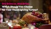 Dry Brine vs. Wet Brine: Which Should You Choose for Your Thanksgiving Turkey?