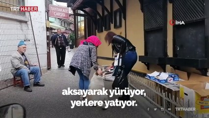 Sakat numarası yapan köpek vatandaşları seferber etti