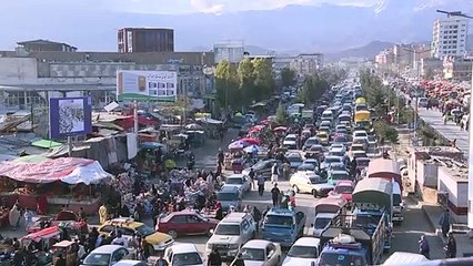 "حافلات زهرية" تساعد النساء في التنقل وسط المجتمع الذكوري الأفغاني