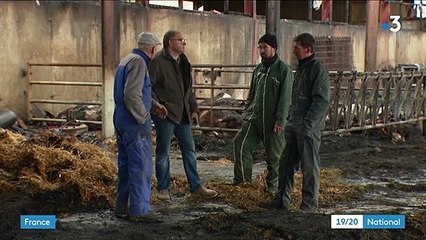 Drôme : une série d'incendies dévaste des exploitations agricoles