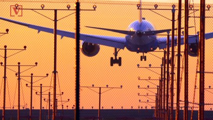 This Airline Received The Airline Of The Year Award