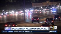 Pedestrian killed on Loop 202