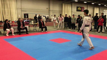 Abe Chang Taegeuk Pal Jang