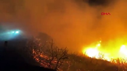 Kaliforniya’da ulusal ormandaki yangın kente ulaştı