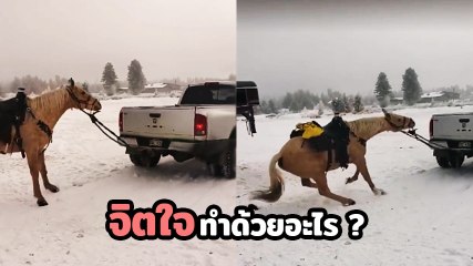 จิตใจทำด้วยอะไร ? จับม้าล่ามท้ายรถ ขับลากไปกับพื้น !!