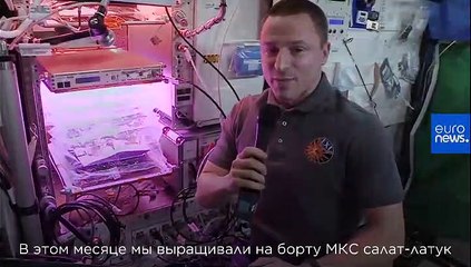 Спроси нашего астронавта | Какие съедобные растения выращивают в космосе?