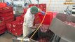 How it Make Amazing Production Processes Hot Dog, Cakes, Soap, jelly