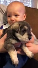 Puppy Brings Smile to Sad Face