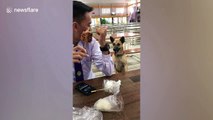 Thai students 'mugged' by dog begging for food