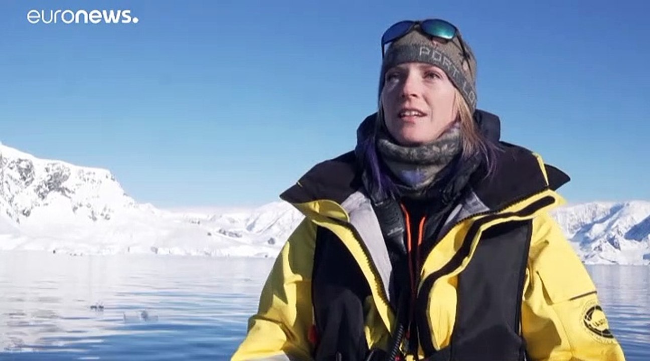 Antarktis-Pinguine: 'Trinkt Euren Champagner zuhause!'