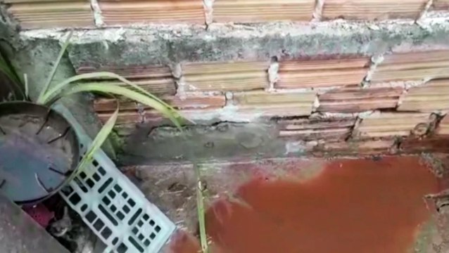 Após intensos vazamentos de água, pisos de imóvel começam a ceder e moradora cobra a Sanepar