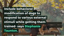 Stephanie Taunton | Tips to pet safety during fireworks : 4th of July
