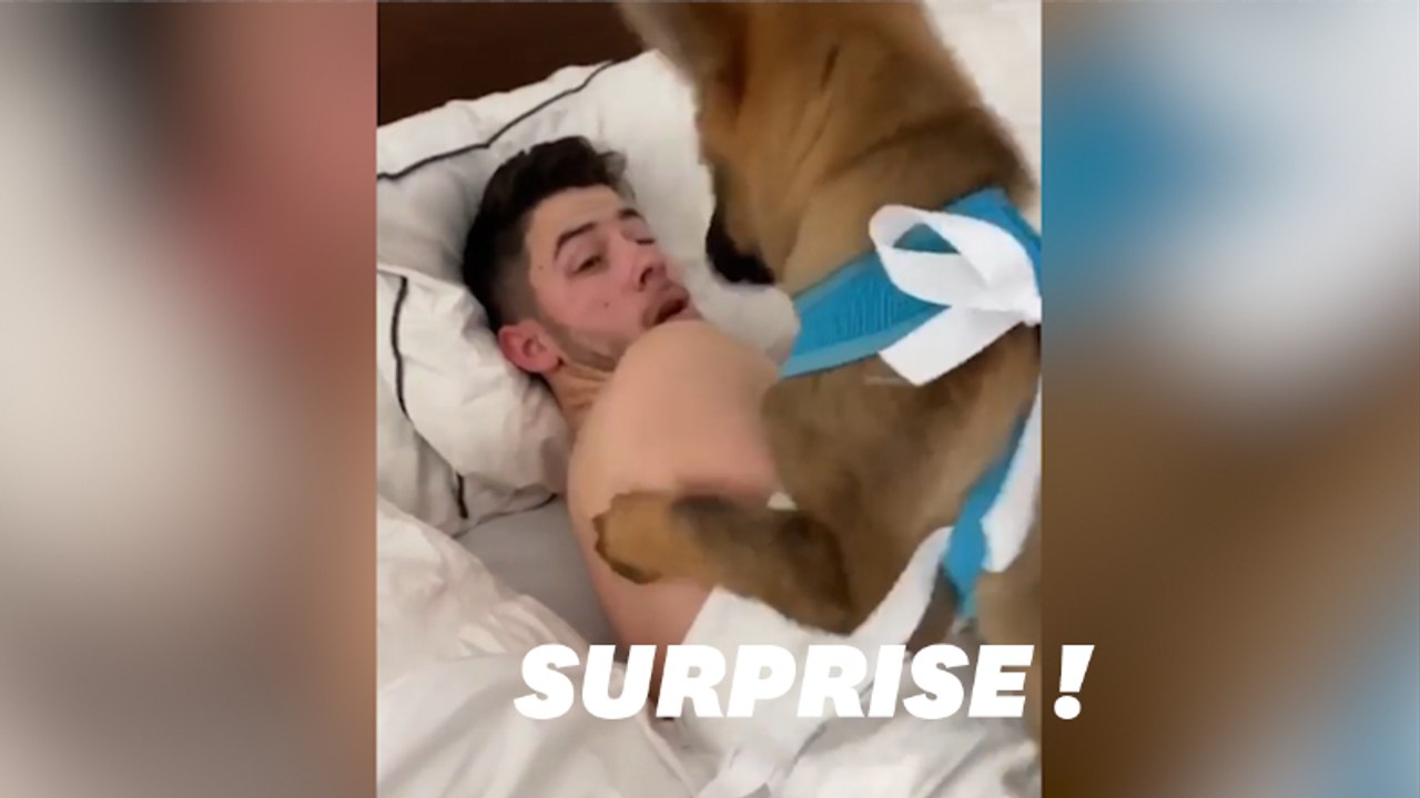 Priyanka Chopra a trouvé le meilleur cadeau pour réveiller Nick Jonas