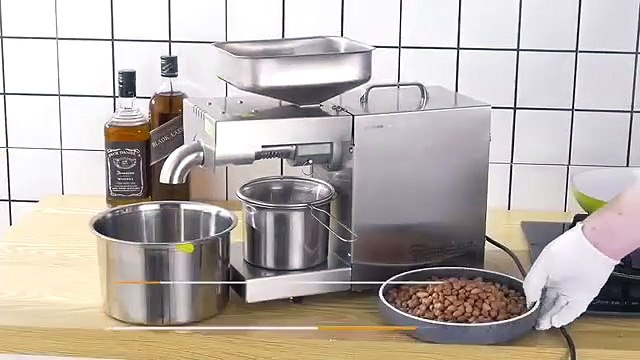 Mini Commercial Oil Press Machine