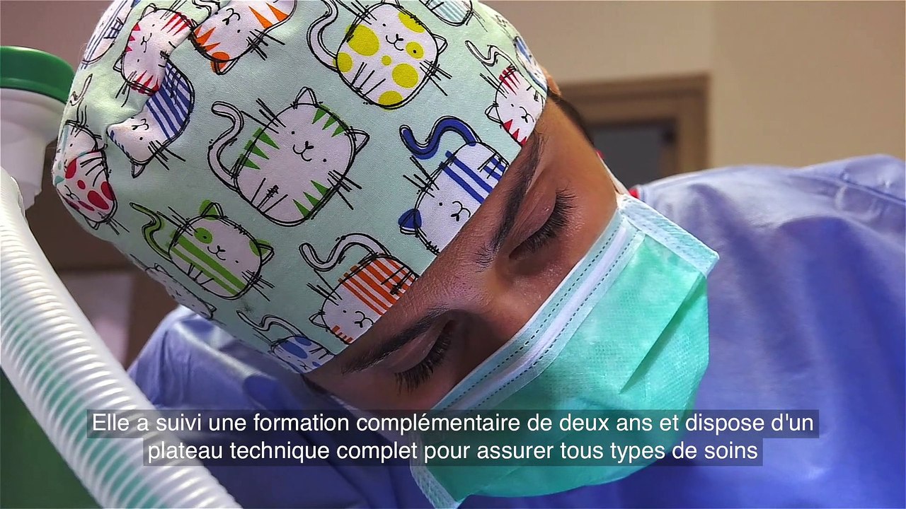 Dentisterie