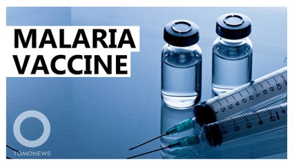 World's first malaria vaccine introduced in Africa
