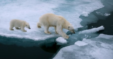 Climat : un “état d'urgence planétaire” est évoqué, les conséquences actuelles ne pourraient plus être contenues