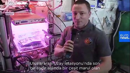 Uzay Günlükleri: Uluslararası Uzay İstasyonu'nda hangi bitkiler yetişiyor?