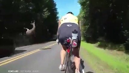 Most dangerous places in the world