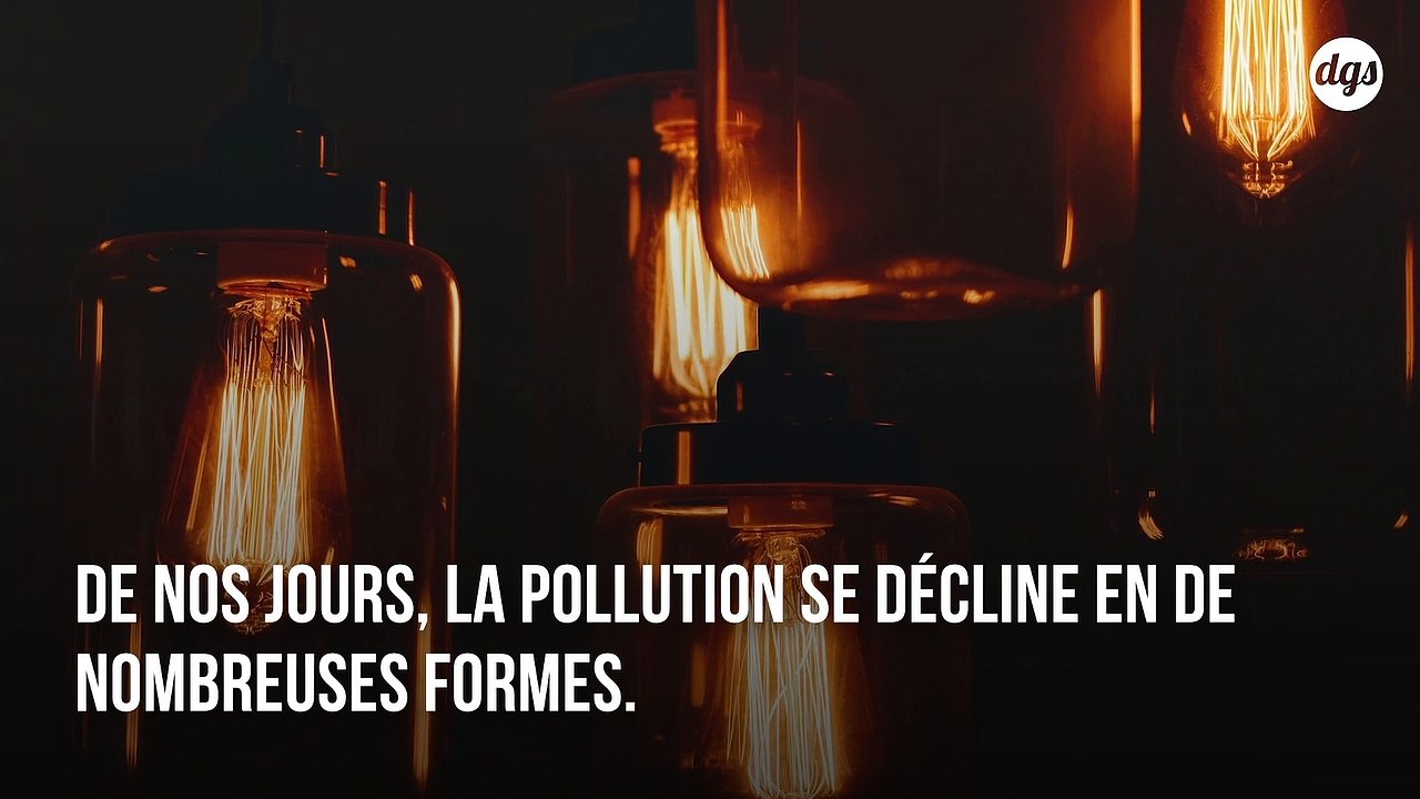 La pollution lumineuse est l'une des principales causes du déclin des insectes