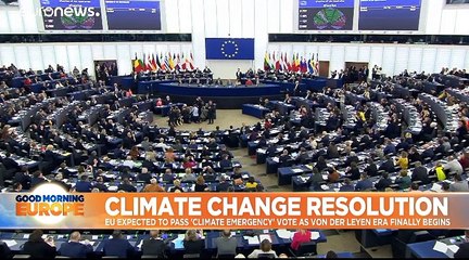 MEPs back 'climate emergency' resolution to push for more aggressive action