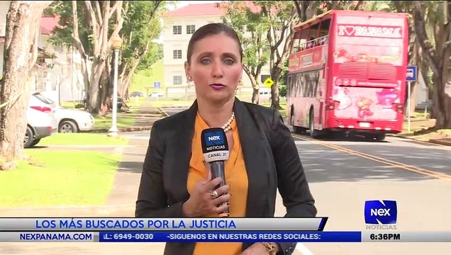 Los más buscados con Linda Bran - Nex Noticias