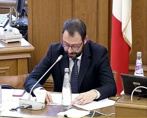 Patuanelli - Attuazione della strategia energetica nazionale (27.11.19)