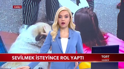 Sevilmek İsteyen Köpek Rol Yaptı