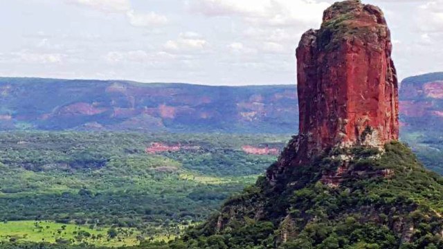 RAP CONCIENCIA AMAZONAS RAP TRISTE (Incendio en el Amazonas Bolivia, Brasil, Paraguay, Perú)