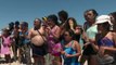 السلاحف البحرية تتعايش بسلام مع السياح على جزيرة تونسية