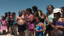 السلاحف البحرية تتعايش بسلام مع السياح على جزيرة تونسية
