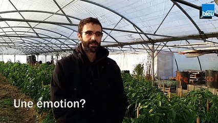 Jeudi - Sébastien Boudet - Salarié en Contrat Durée Déterminée d'Insertion