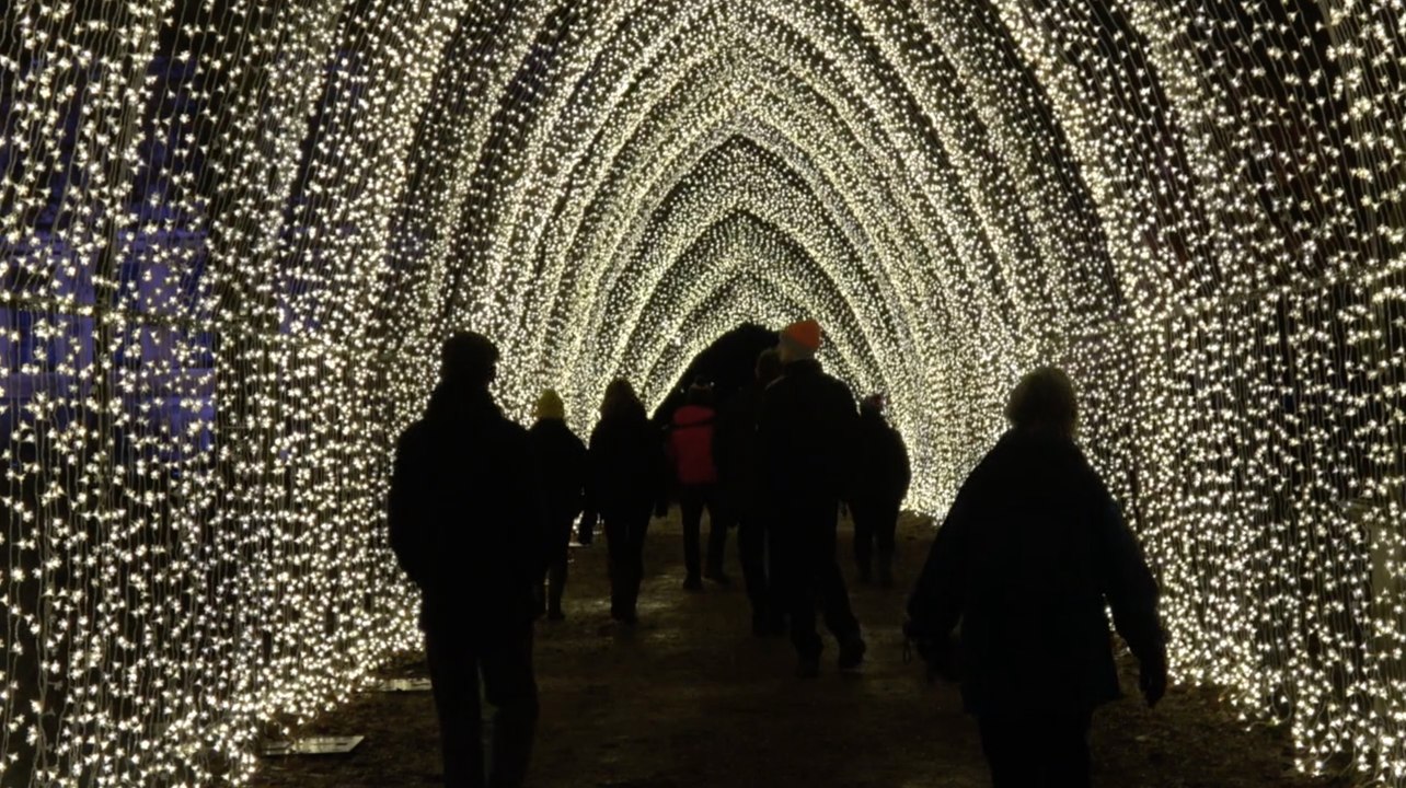 FIRST LOOK Christmas At Belton new festive lights trail video