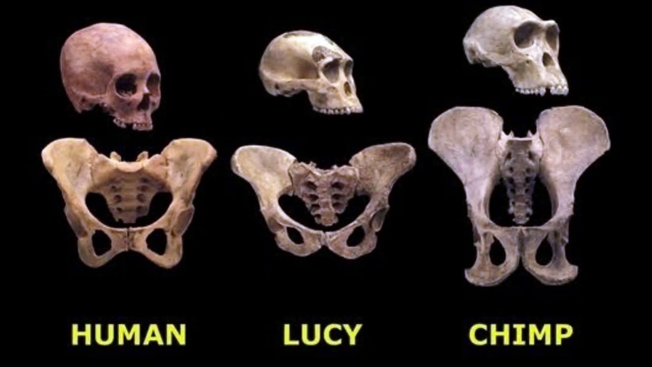 Lucy First Mission to Trojan Asteroid |