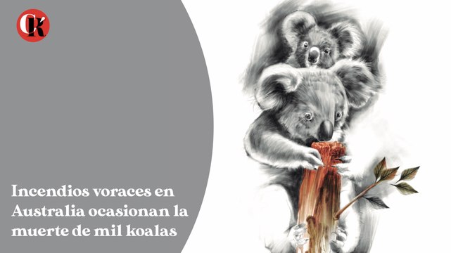 Incendios voraces en Australia ocasionan la muerte de mil koalas