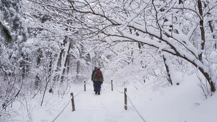 [날씨] 동풍이 만든 날씨...東 설국, 西 깨끗한 공기 / YTN