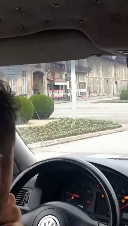 Un sanglier sème la panique à Dole