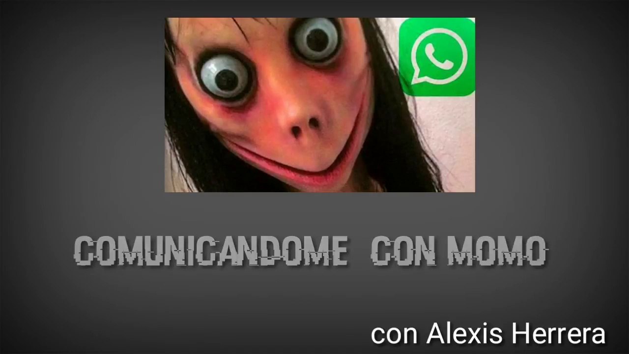 COMUNICANDOME CON  MOMO ( miren al final que paso) | amigo del mono