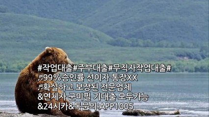 ※#무직자대출#작업대출#무직자작업대출#주부대출# 99%대출승인 박기영팀장 카톡:APP1005
