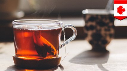 プラスチック製ティーバッグ お茶と一緒に116億個のマイクロプラスチックを放出 - トモニュース