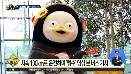 [핫플]버스 기사가 운전 중 ‘펭수’ 삼매경?