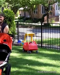 Funniest Babies and Daddy Moments - Happy Baby Family